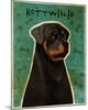 Rottweiler-John W^ Golden-Mounted Art Print