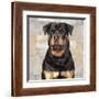 Rottweiler-Keri Rodgers-Framed Giclee Print