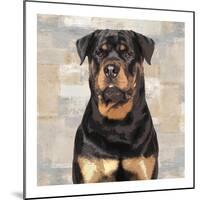 Rottweiler-Keri Rodgers-Mounted Giclee Print