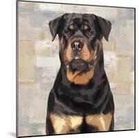 Rottweiler-Keri Rodgers-Mounted Giclee Print