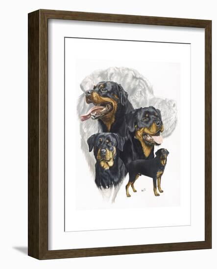 Rottweiler-Barbara Keith-Framed Giclee Print