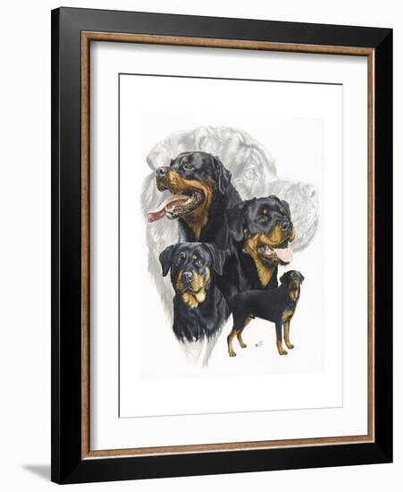 Rottweiler-Barbara Keith-Framed Giclee Print