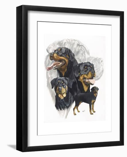 Rottweiler-Barbara Keith-Framed Giclee Print