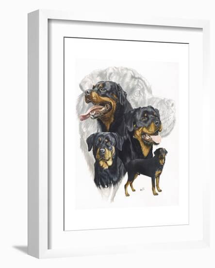 Rottweiler-Barbara Keith-Framed Giclee Print