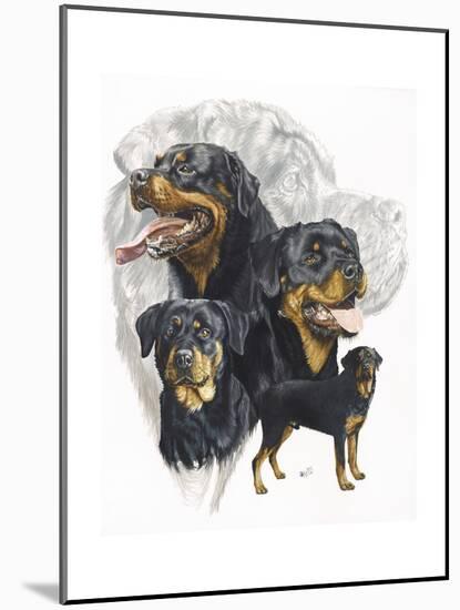 Rottweiler-Barbara Keith-Mounted Giclee Print