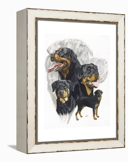 Rottweiler-Barbara Keith-Framed Premier Image Canvas