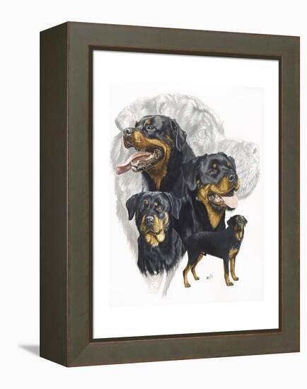 Rottweiler-Barbara Keith-Framed Premier Image Canvas