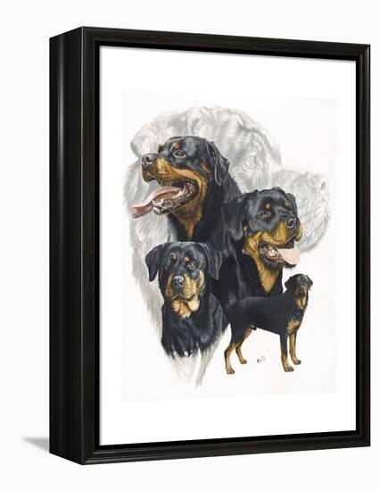 Rottweiler-Barbara Keith-Framed Premier Image Canvas