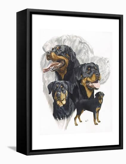 Rottweiler-Barbara Keith-Framed Premier Image Canvas