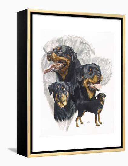 Rottweiler-Barbara Keith-Framed Premier Image Canvas