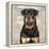Rottweiler-Keri Rodgers-Framed Stretched Canvas