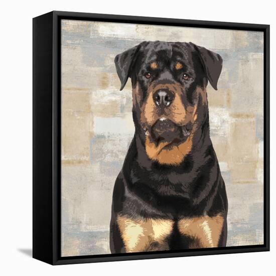 Rottweiler-Keri Rodgers-Framed Stretched Canvas