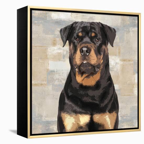 Rottweiler-Keri Rodgers-Framed Stretched Canvas