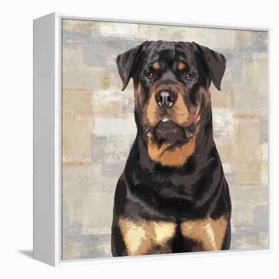 Rottweiler-Keri Rodgers-Framed Stretched Canvas
