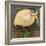 Rotund Bird-Tim Nyberg-Framed Giclee Print