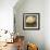 Rotund Bird-Tim Nyberg-Framed Giclee Print displayed on a wall