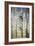 Rouen Cathedral in Full Sunlight, 1893-Claude Monet-Framed Giclee Print