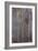 Rouen Cathedral, Noon (Le Portal Et La Tour D'Alban), 1893-1894-Claude Monet-Framed Giclee Print