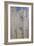 Rouen Cathedral: The Portal (Sunlight), 1894-Claude Monet-Framed Giclee Print