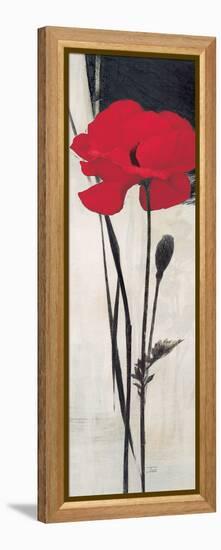 Rouge Floral 2-Ivo-Framed Stretched Canvas