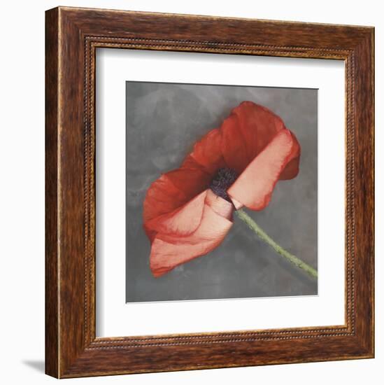 Rouge-Erin Clark-Framed Art Print