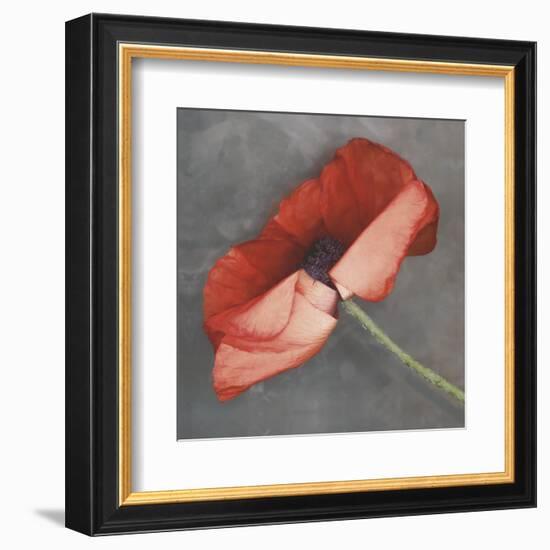 Rouge-Erin Clark-Framed Art Print