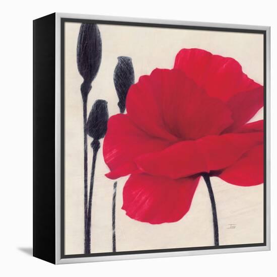 Rouge-Ivo-Framed Stretched Canvas