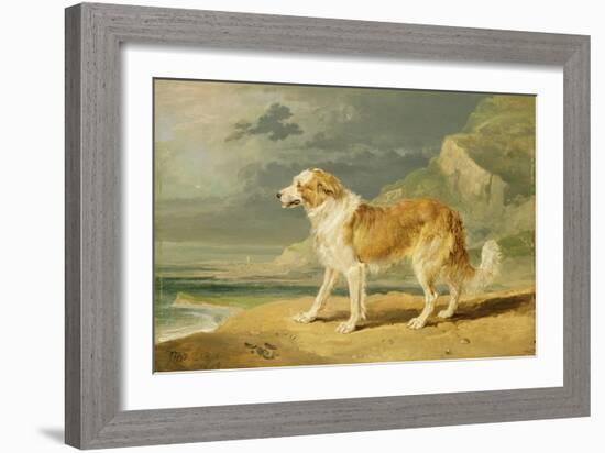 Rough-Coated Collie, 1809 (Oil on Board)-James Ward-Framed Giclee Print