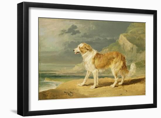 Rough-Coated Collie, 1809 (Oil on Board)-James Ward-Framed Giclee Print