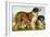 Rough Coated St. Bernards-Vero Shaw-Framed Art Print