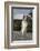 Rough Collie-Lynn M^ Stone-Framed Photographic Print