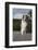 Rough Collie-Lynn M^ Stone-Framed Photographic Print