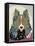 Rough Collie-Lanre Adefioye-Framed Premier Image Canvas