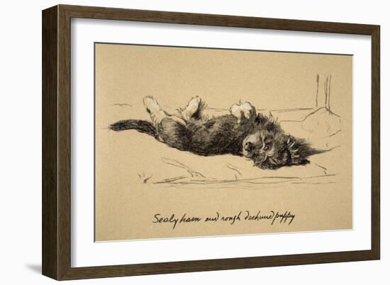 Rough Daschund Puppy Detail, 1930, IllJust Among Friends, Aldin, Cecil Charles Windsor-Cecil Aldin-Framed Giclee Print