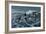 Rough Day on the Bay - Oldsquaw Ducks-Wilhelm Goebel-Framed Giclee Print