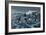 Rough Day on the Bay - Oldsquaw Ducks-Wilhelm Goebel-Framed Giclee Print