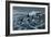 Rough Day on the Bay - Oldsquaw Ducks-Wilhelm Goebel-Framed Giclee Print