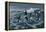 Rough Day on the Bay - Oldsquaw Ducks-Wilhelm Goebel-Framed Premier Image Canvas