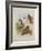 Rough Legged Buzzard, Spotted Eagle and Common Buzzard, C.1915 (W/C & Bodycolour with Gum Arabic Ov-Archibald Thorburn-Framed Giclee Print