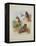 Rough Legged Buzzard, Spotted Eagle and Common Buzzard, C.1915 (W/C & Bodycolour with Gum Arabic Ov-Archibald Thorburn-Framed Premier Image Canvas