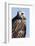 Rough-Legged Hawk-Ken Archer-Framed Photographic Print