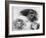 Rough Sketch, C1870-1905-Eugene Carriere-Framed Giclee Print