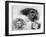 Rough Sketch, C1870-1905-Eugene Carriere-Framed Giclee Print