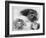 Rough Sketch, C1870-1905-Eugene Carriere-Framed Giclee Print