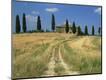 Photographic Print