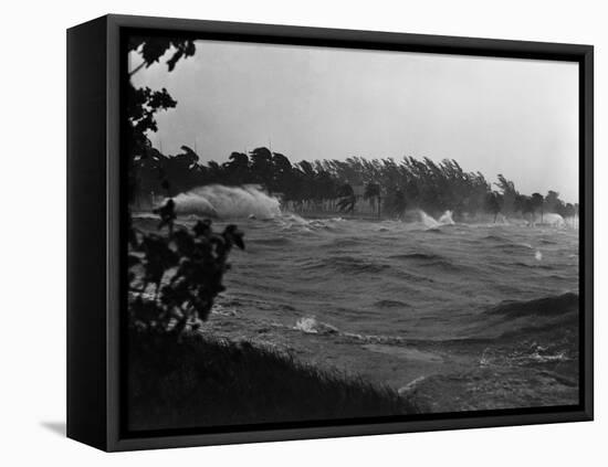 Rough Water and Blowing Palm Trees-Philip Gendreau-Framed Premier Image Canvas