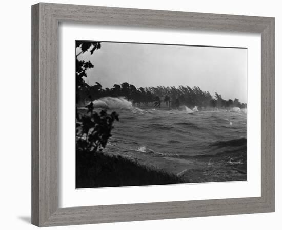 Rough Water and Blowing Palm Trees-Philip Gendreau-Framed Photographic Print