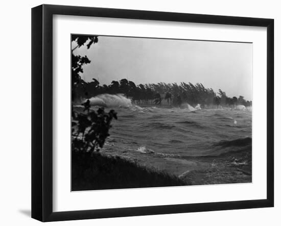 Rough Water and Blowing Palm Trees-Philip Gendreau-Framed Photographic Print