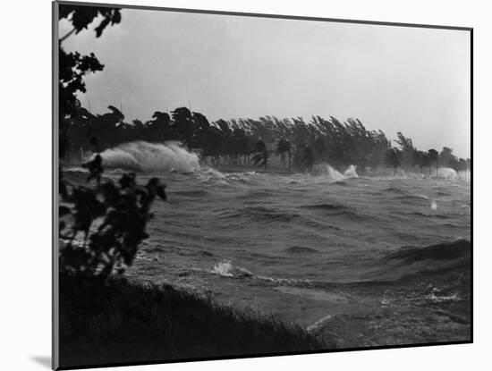 Rough Water and Blowing Palm Trees-Philip Gendreau-Mounted Photographic Print