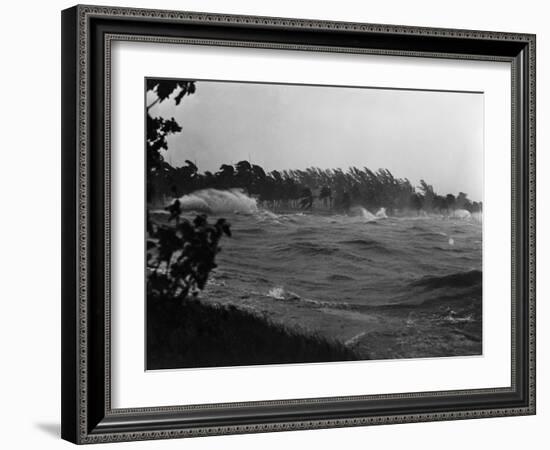 Rough Water and Blowing Palm Trees-Philip Gendreau-Framed Photographic Print